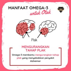 manfaat omega3