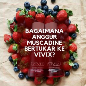 bagaimana anggur muscadine bertukar kepada vivix